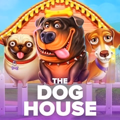 The Dog House